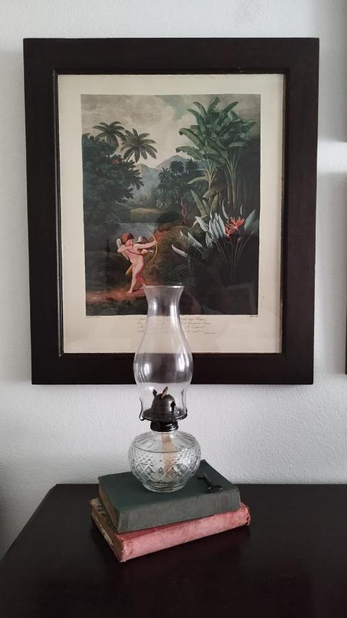בית הארחה טומאר 	Casa Da Avo Genoveva מראה חיצוני תמונה