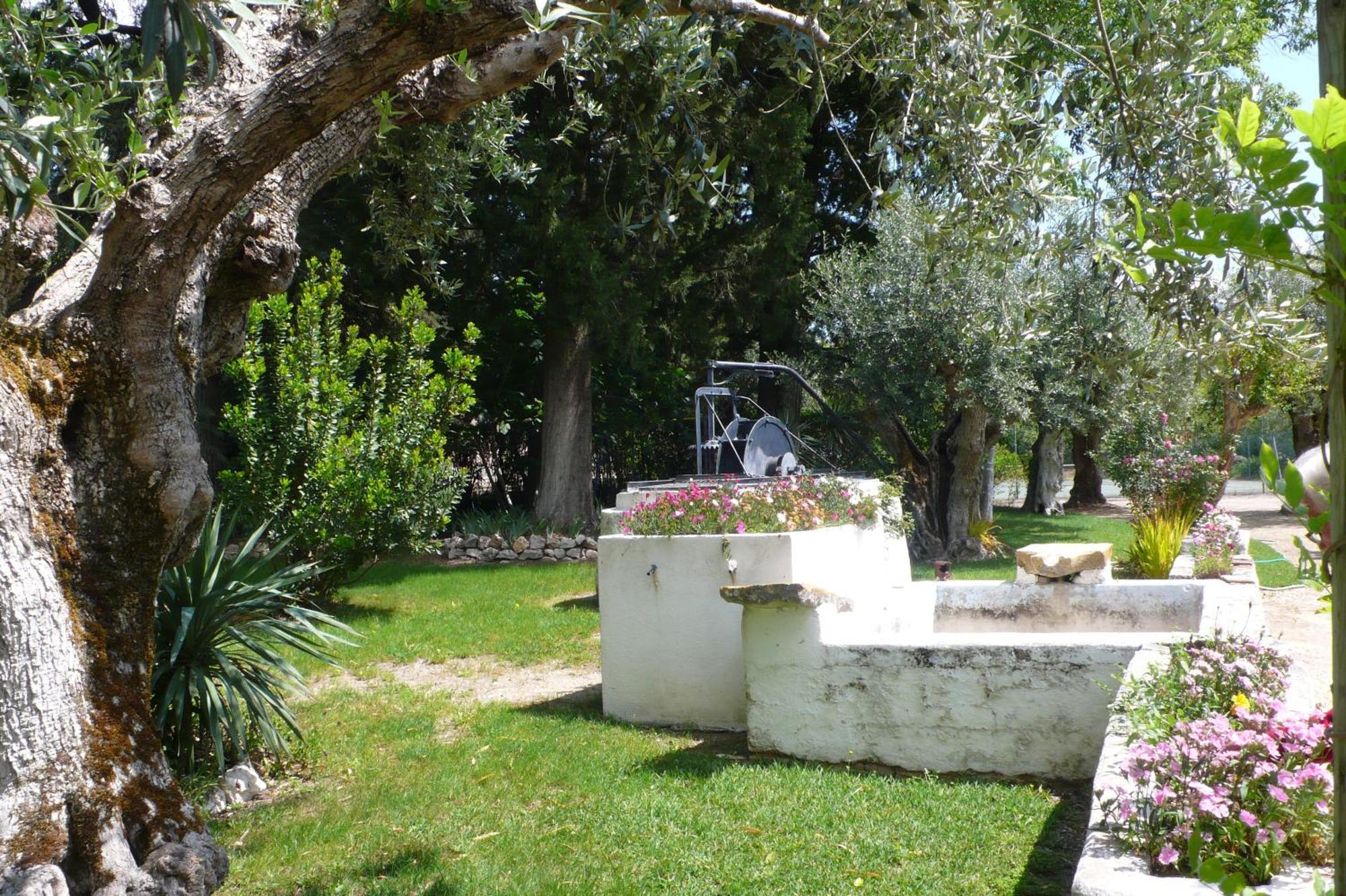 בית הארחה טומאר 	Casa Da Avo Genoveva מראה חיצוני תמונה