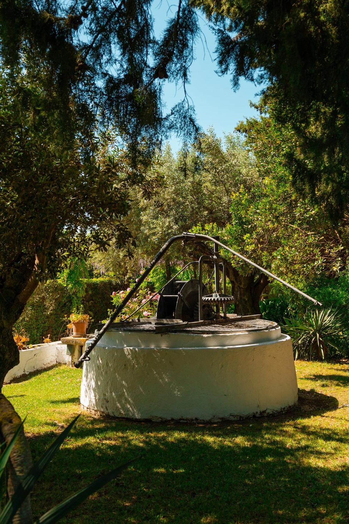 בית הארחה טומאר 	Casa Da Avo Genoveva מראה חיצוני תמונה