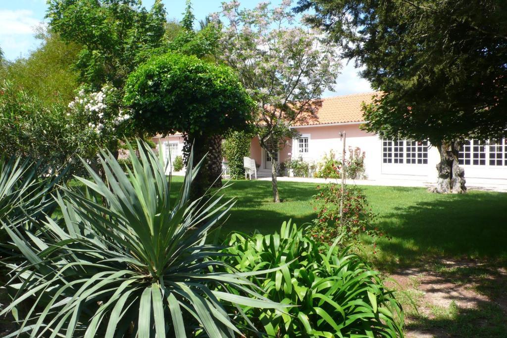 בית הארחה טומאר 	Casa Da Avo Genoveva מראה חיצוני תמונה