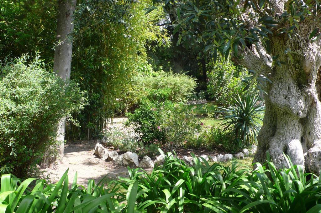 בית הארחה טומאר 	Casa Da Avo Genoveva מראה חיצוני תמונה